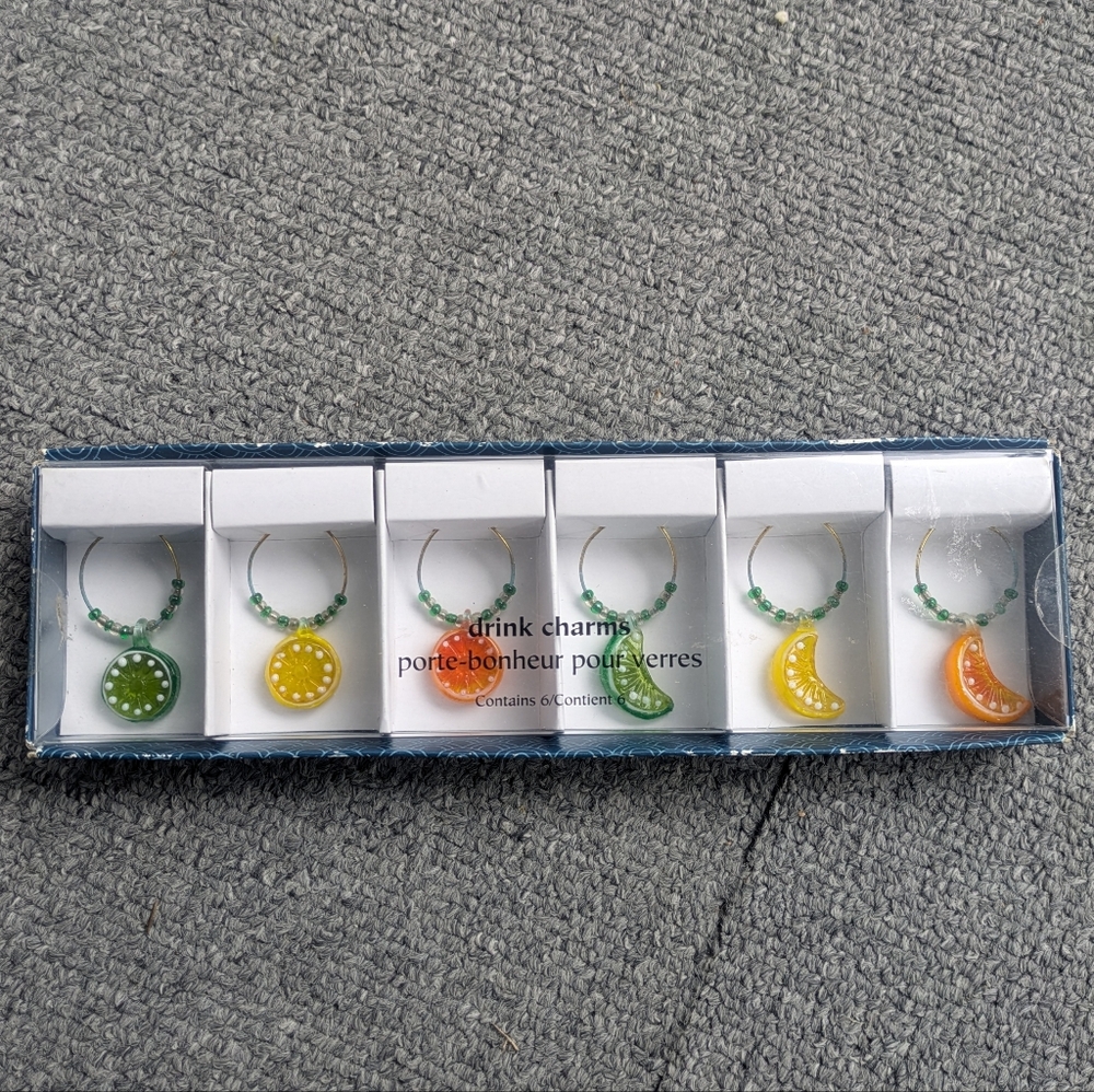 Pier 1 Imports Citrus Drink Charms 6 Pack